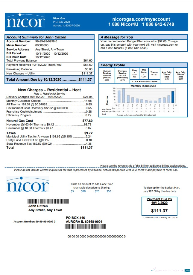 download download USA Illinois Nicor gas utility bill template in Word and PDF format PDF template PDF template
